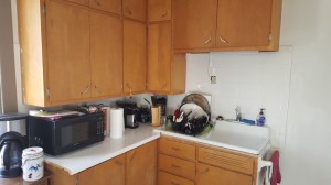 Kitchen View